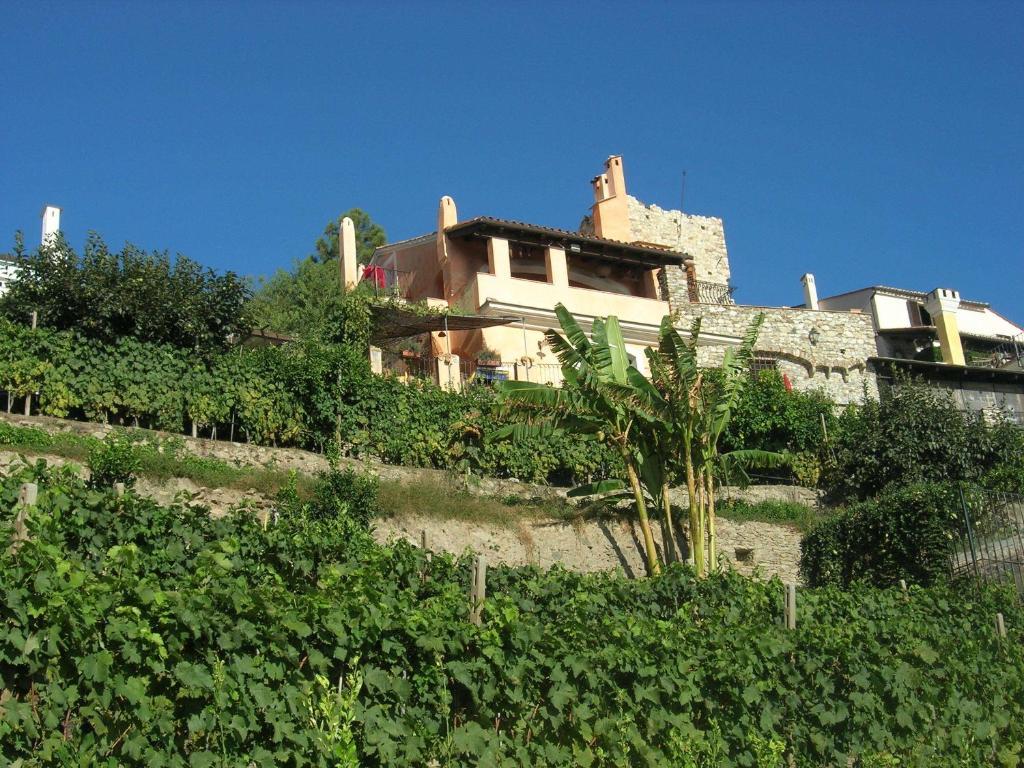 Paradiso Di Manu Noli Exterior photo
